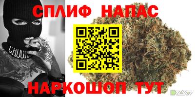 МДПВ Славгород