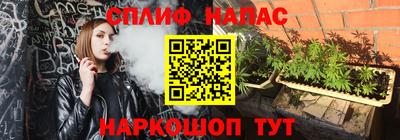 ГАЛЛЮЦИНОГЕННЫЕ ГРИБЫ Сланцы